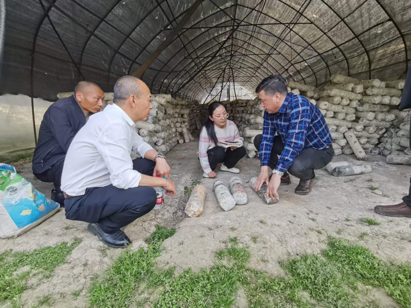 谷城县科协特邀边银丙教授专家团队来谷开展食用菌种植技术培训配图4.png