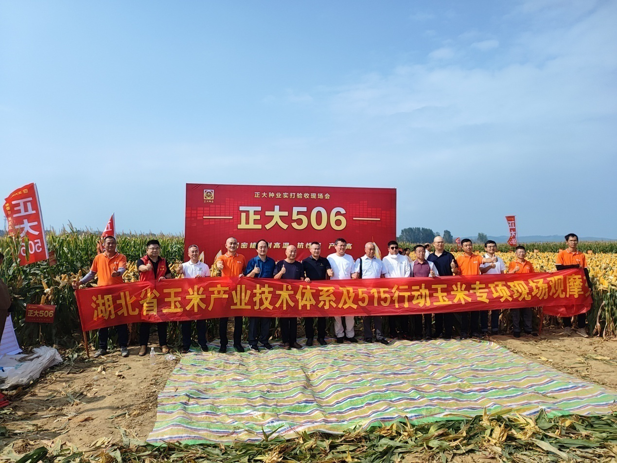 图片2.png
