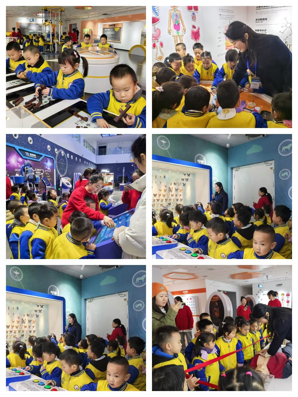晶蕾幼儿园2.jpg