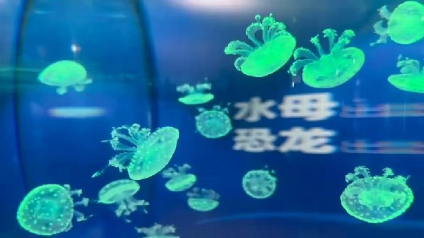 abb1cd522a7ee164b859af94f0877220_副本.jpg