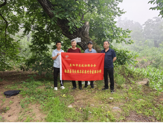 QQ图片20250619161515.png