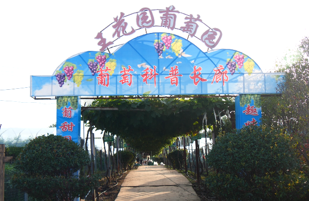 图片2.png