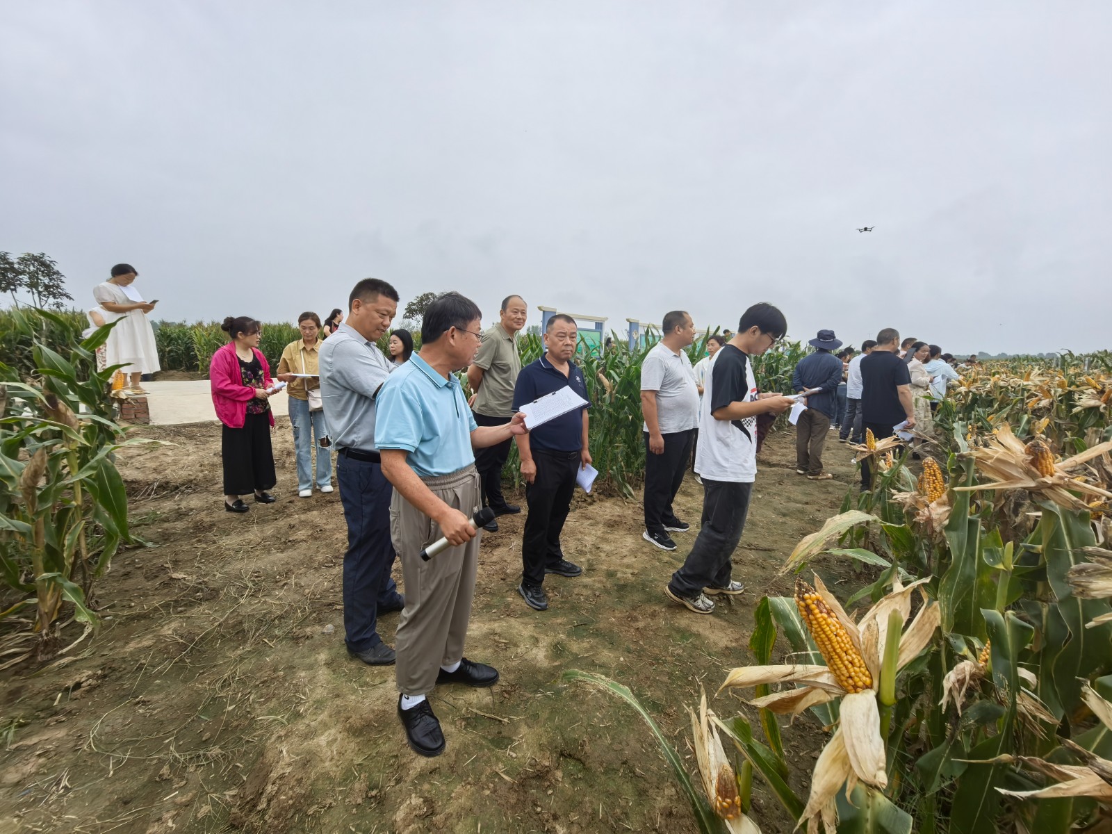 观摩会2.jpg