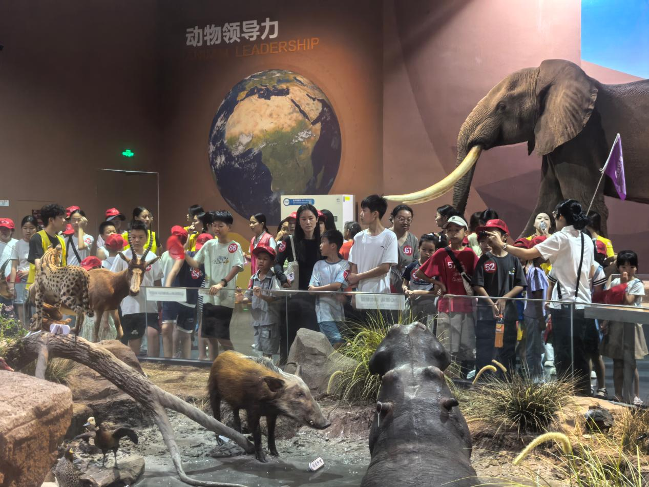 图片3.png