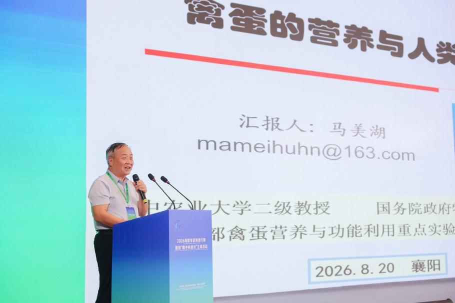 图片16.png